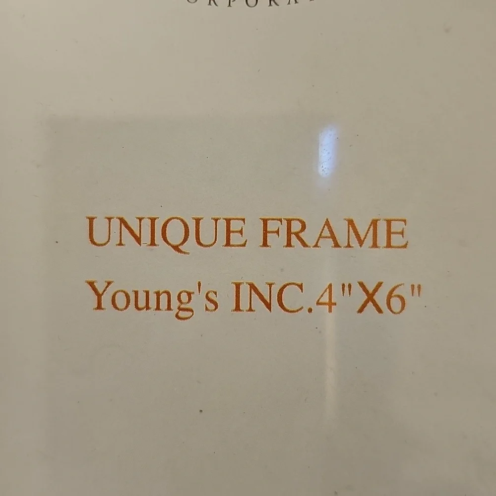 Young's Decorative Gold and Cream Photo Frame